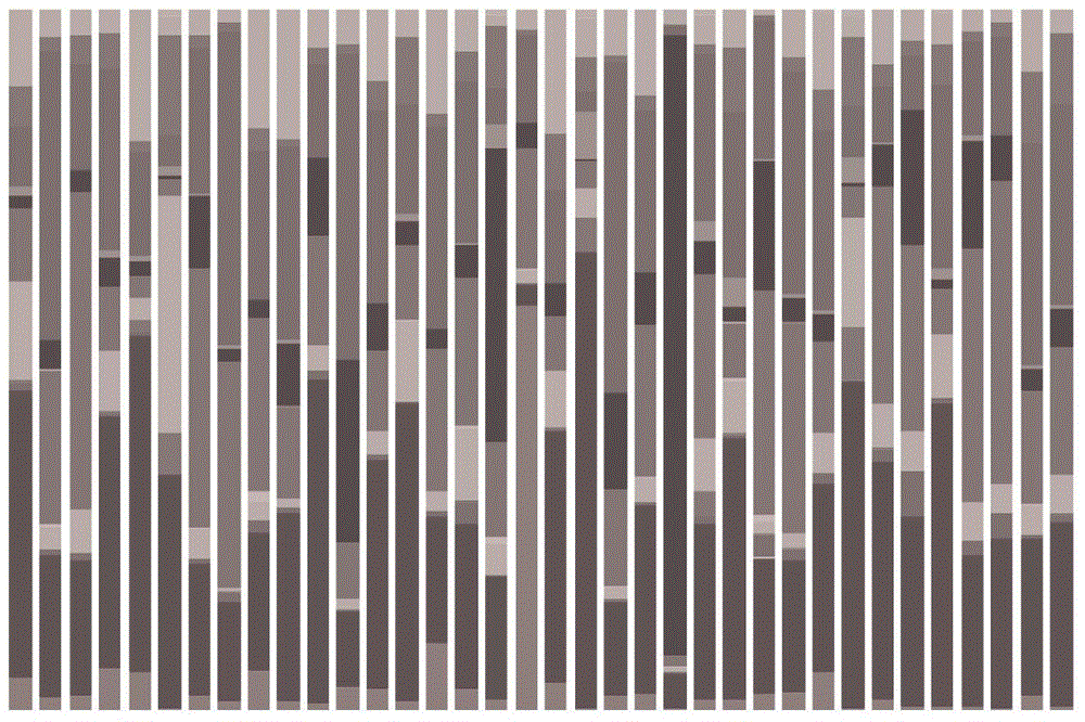 Sputum collection method for detecting 16SrRNA gene sequence of respiratory tract bacteria