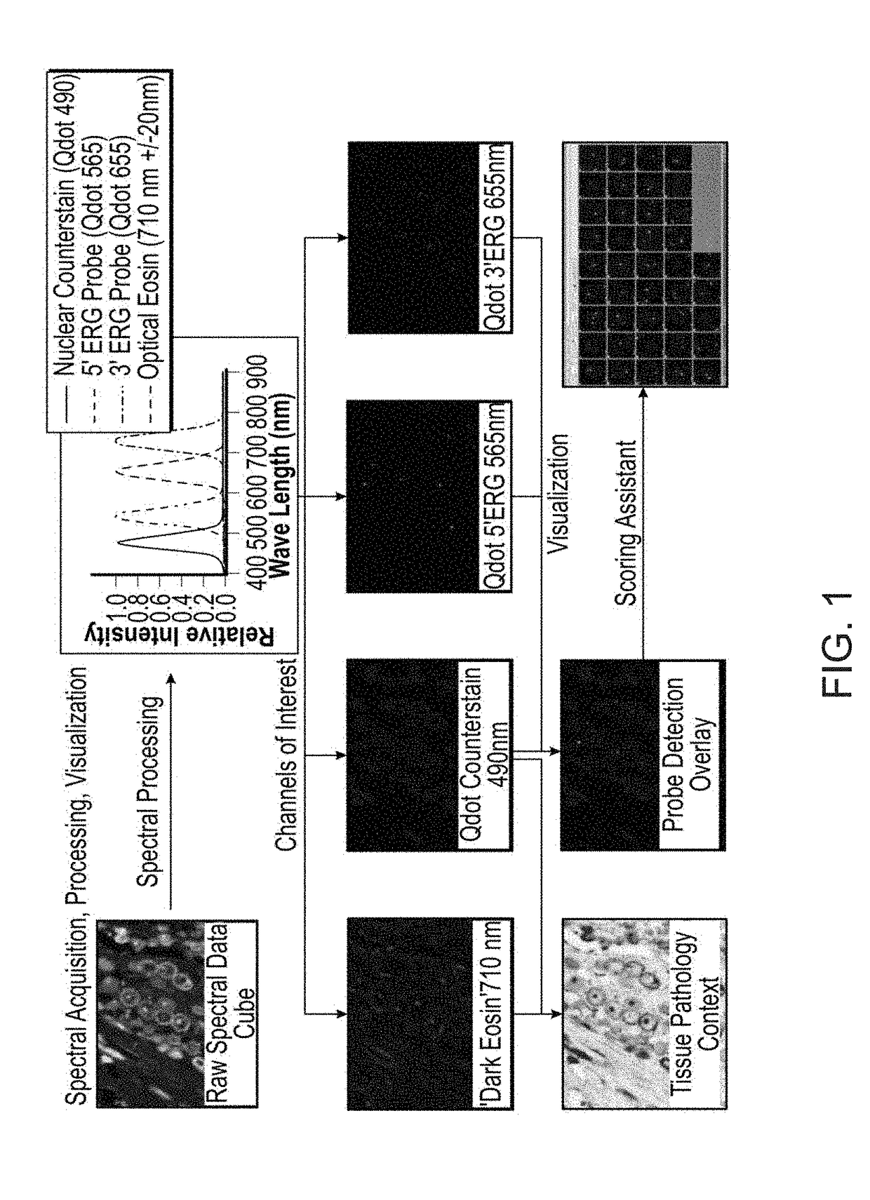 Spectral imaging for measurement of nuclear pathology features in cancer cells prepared for in situ analysis