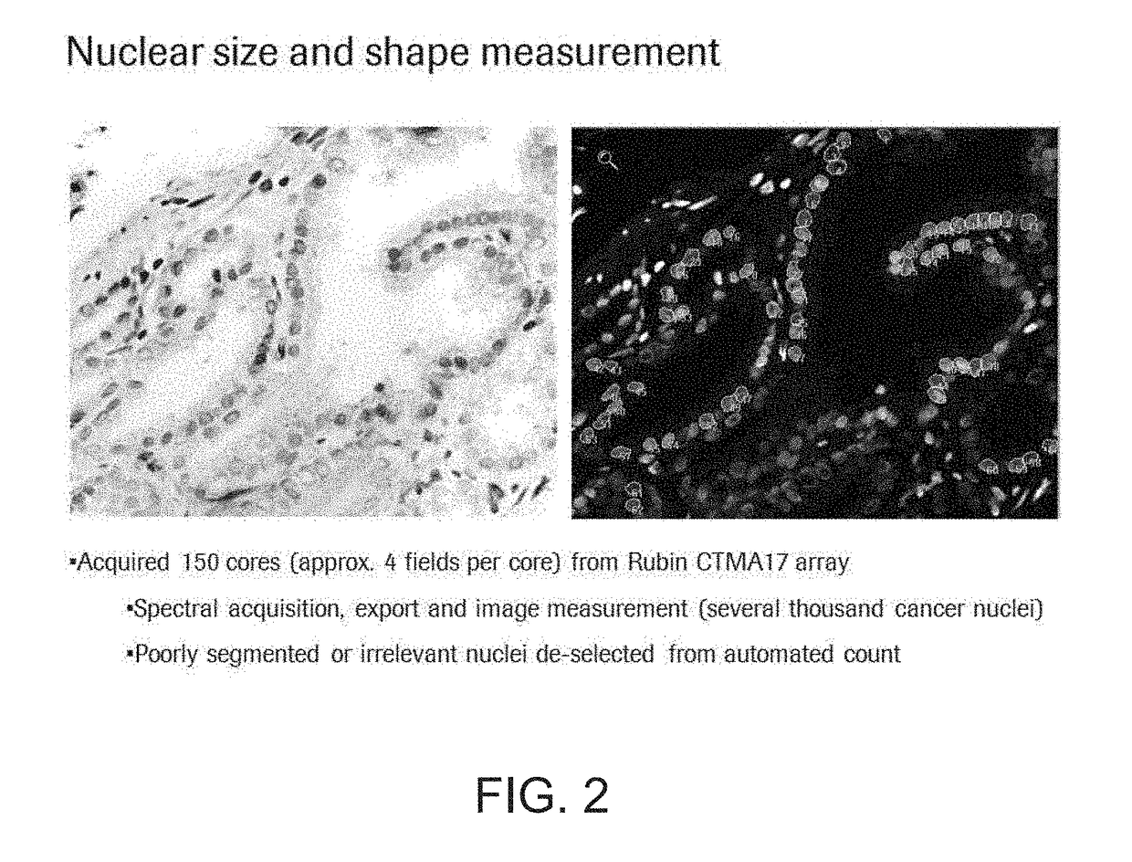 Spectral imaging for measurement of nuclear pathology features in cancer cells prepared for in situ analysis