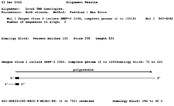 Dengue hemorrhagic fever virus II nucleic acid molecular characteristic standard sample and preparation method thereof