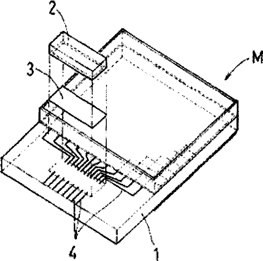 Creasing inspection device and method thereof