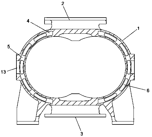 Pump body structure of constant-temperature and high-efficiency roots pump