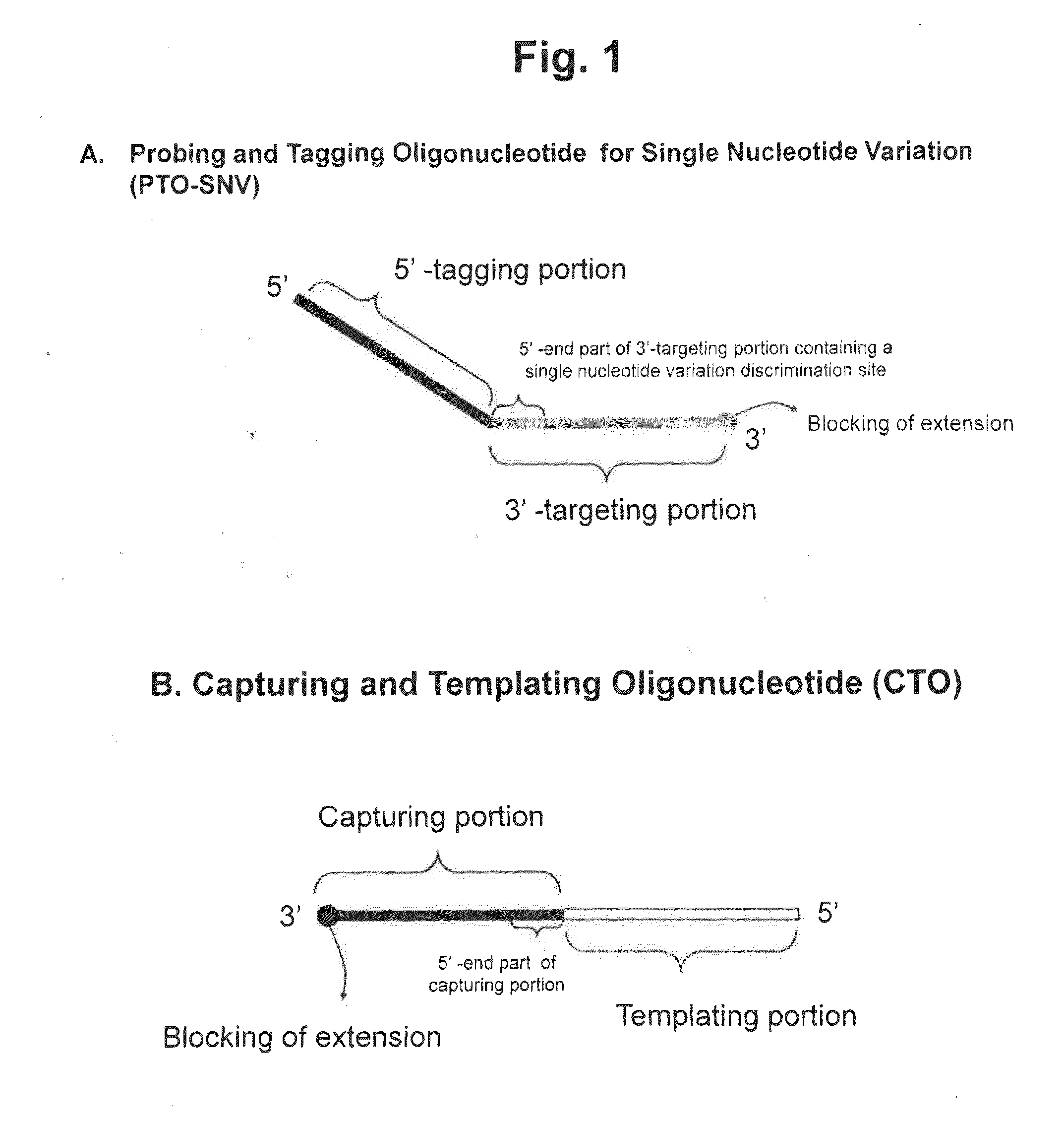 Method for determining SNP genotype