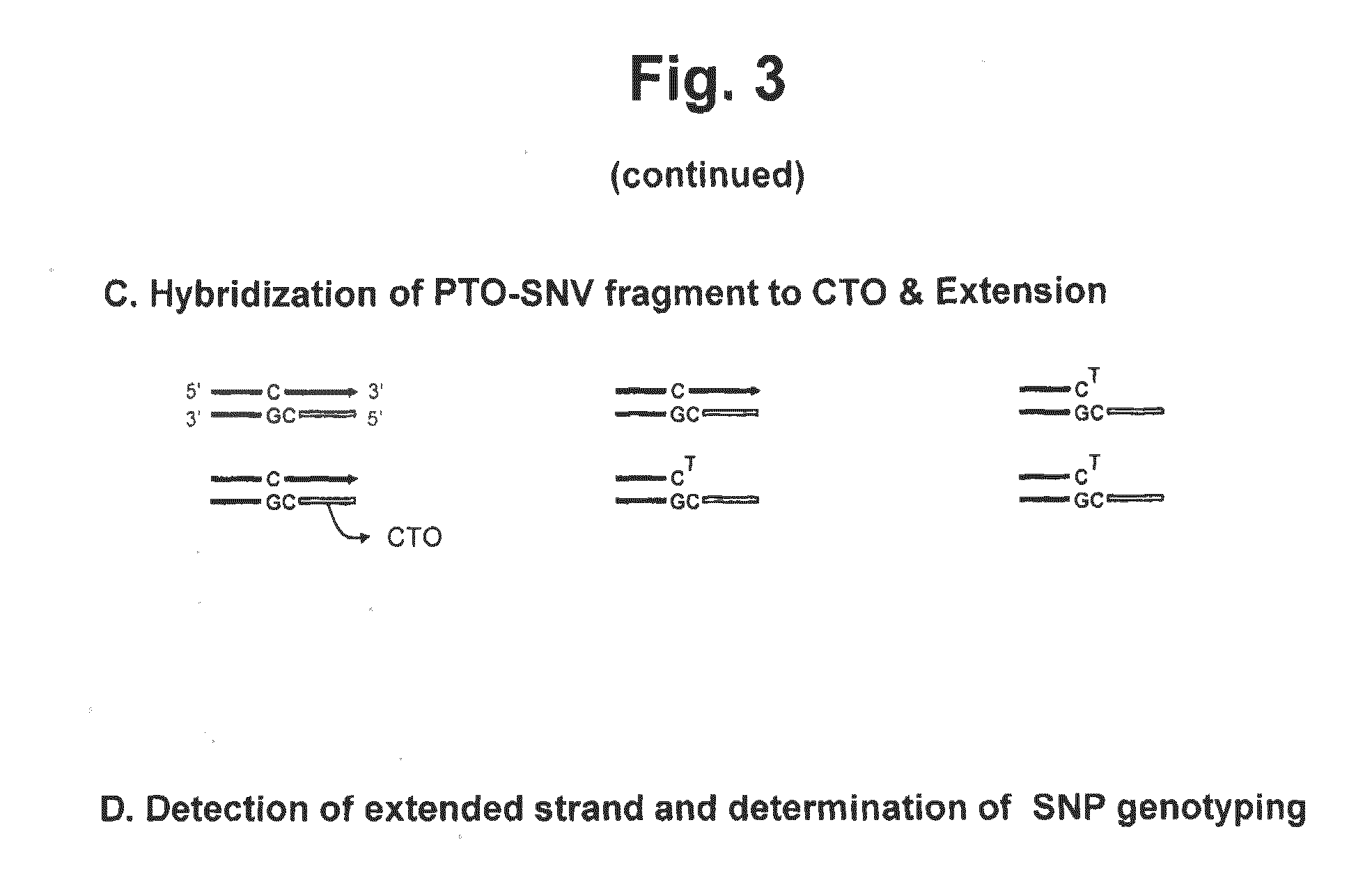 Method for determining SNP genotype