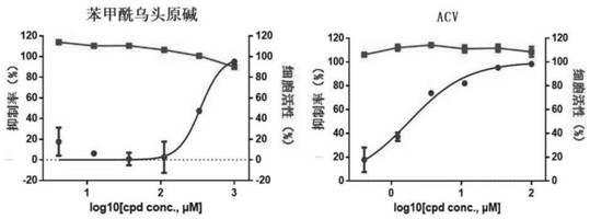 Alkaloid for resisting herpes virus infection and combination and application