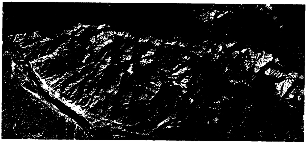 Method for prospecting pegmatite rare metal