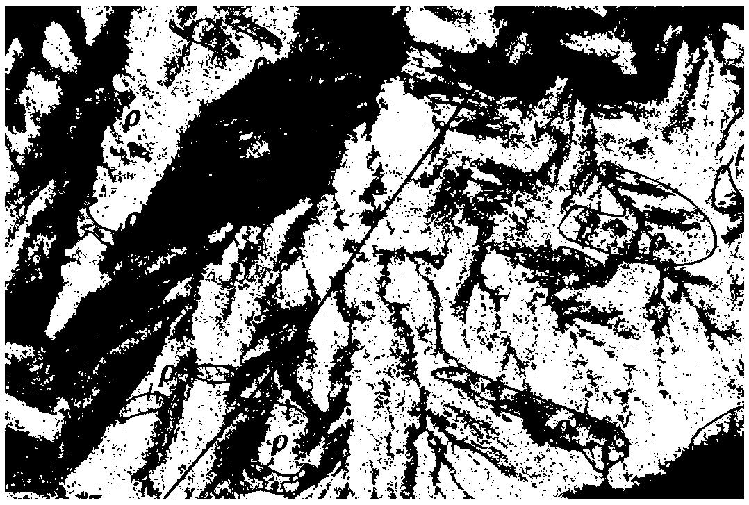 Method for prospecting pegmatite rare metal