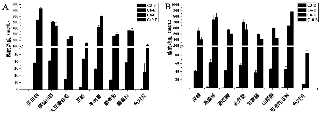 Culture method of burkholderia multivorans strain and applications of burkholderia multivorans in catalyzing synthesis of baijiu flavor esters and degradation of baijiu harmful esters