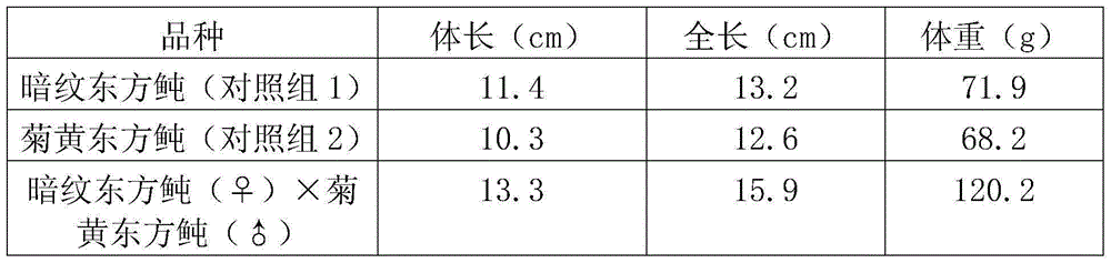 Pond cultivation method for current-year fries of half-bred takifugu