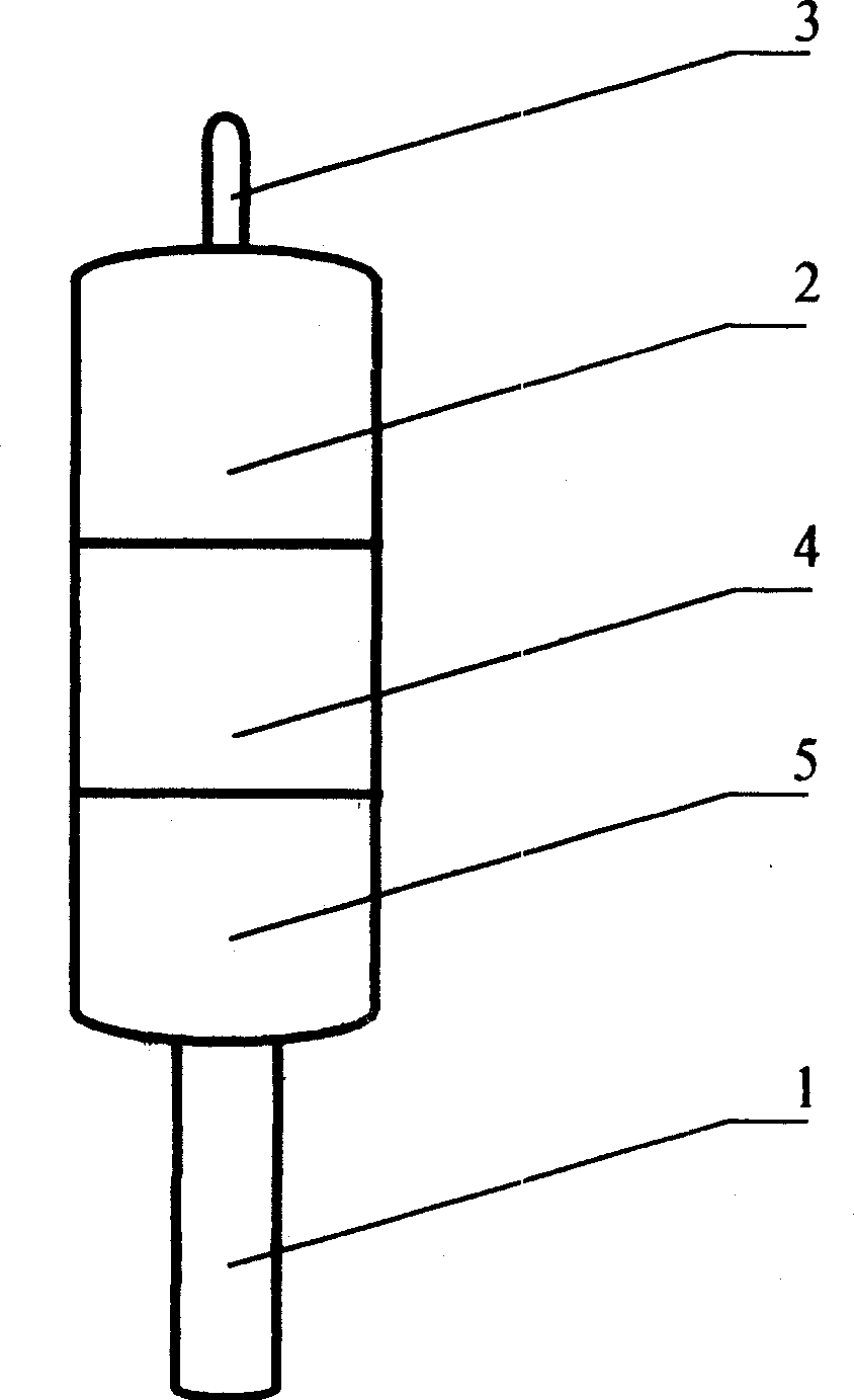 Roasted composite food and its production method