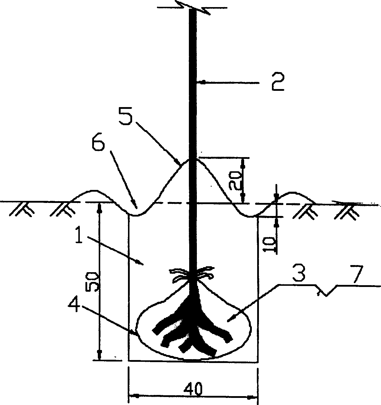 Film-bag tree planting method in sand-land