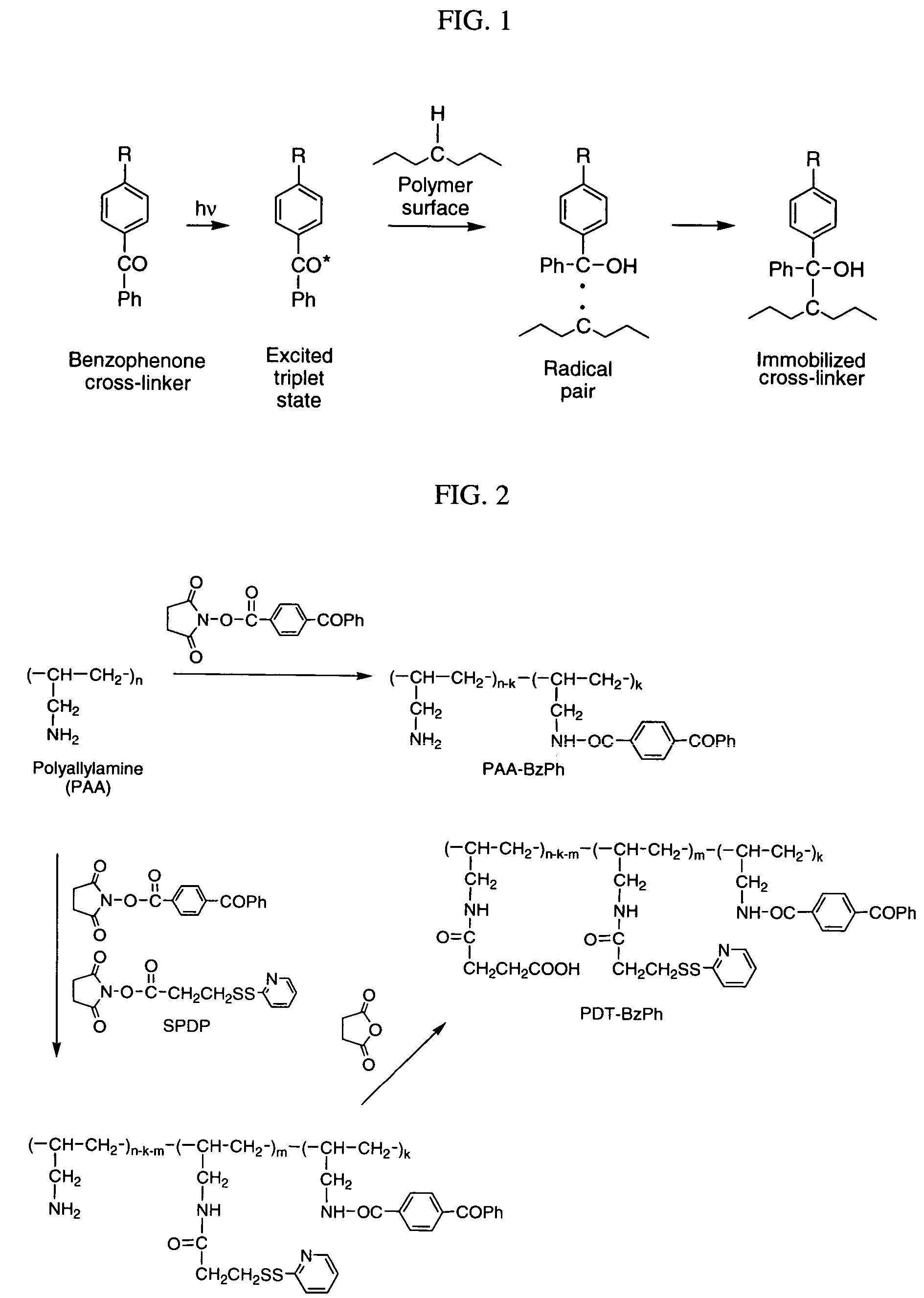 Photochemical activation of surfaces for attaching biomaterial