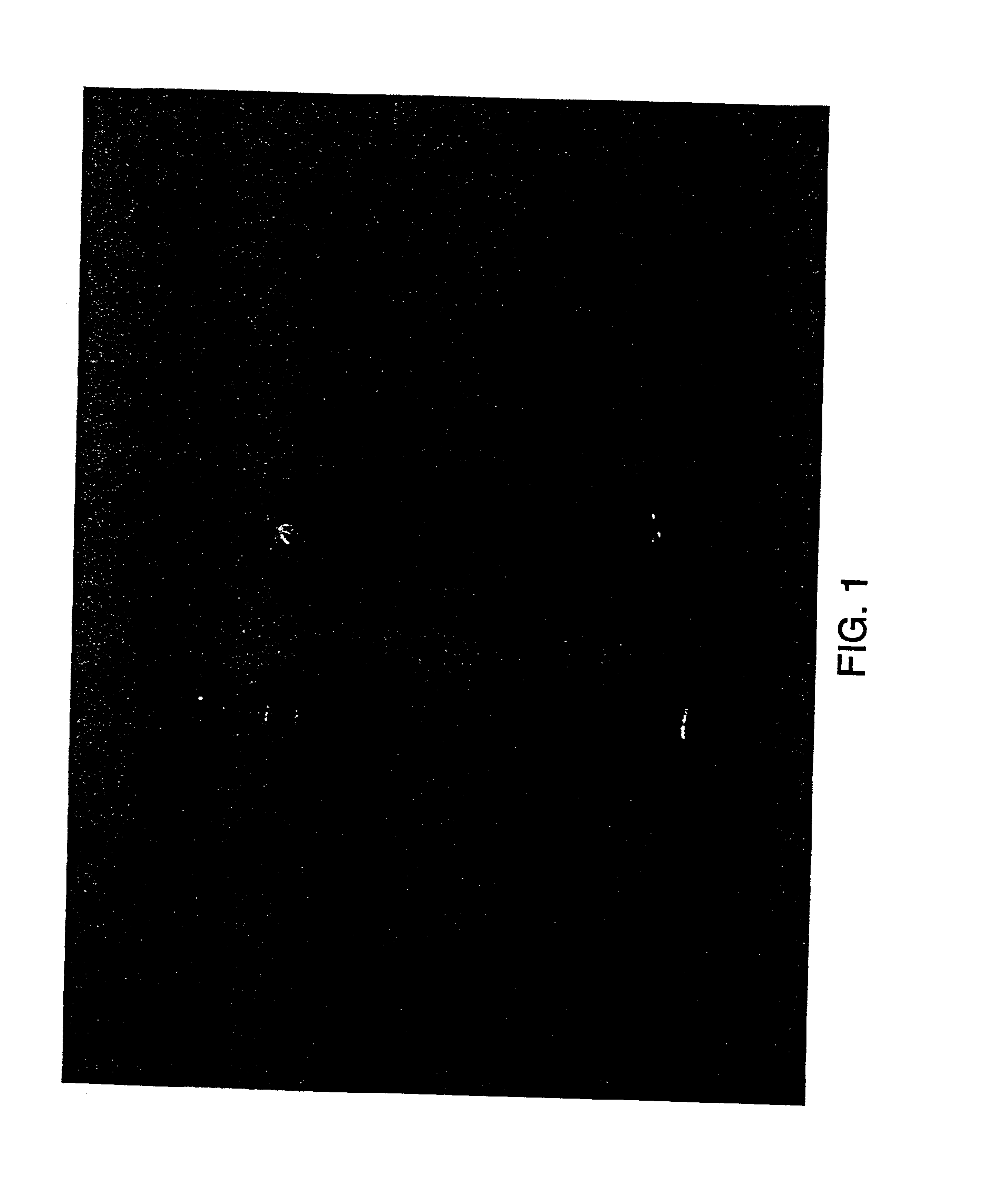 Sintered polycrystalline gallium nitride and its production