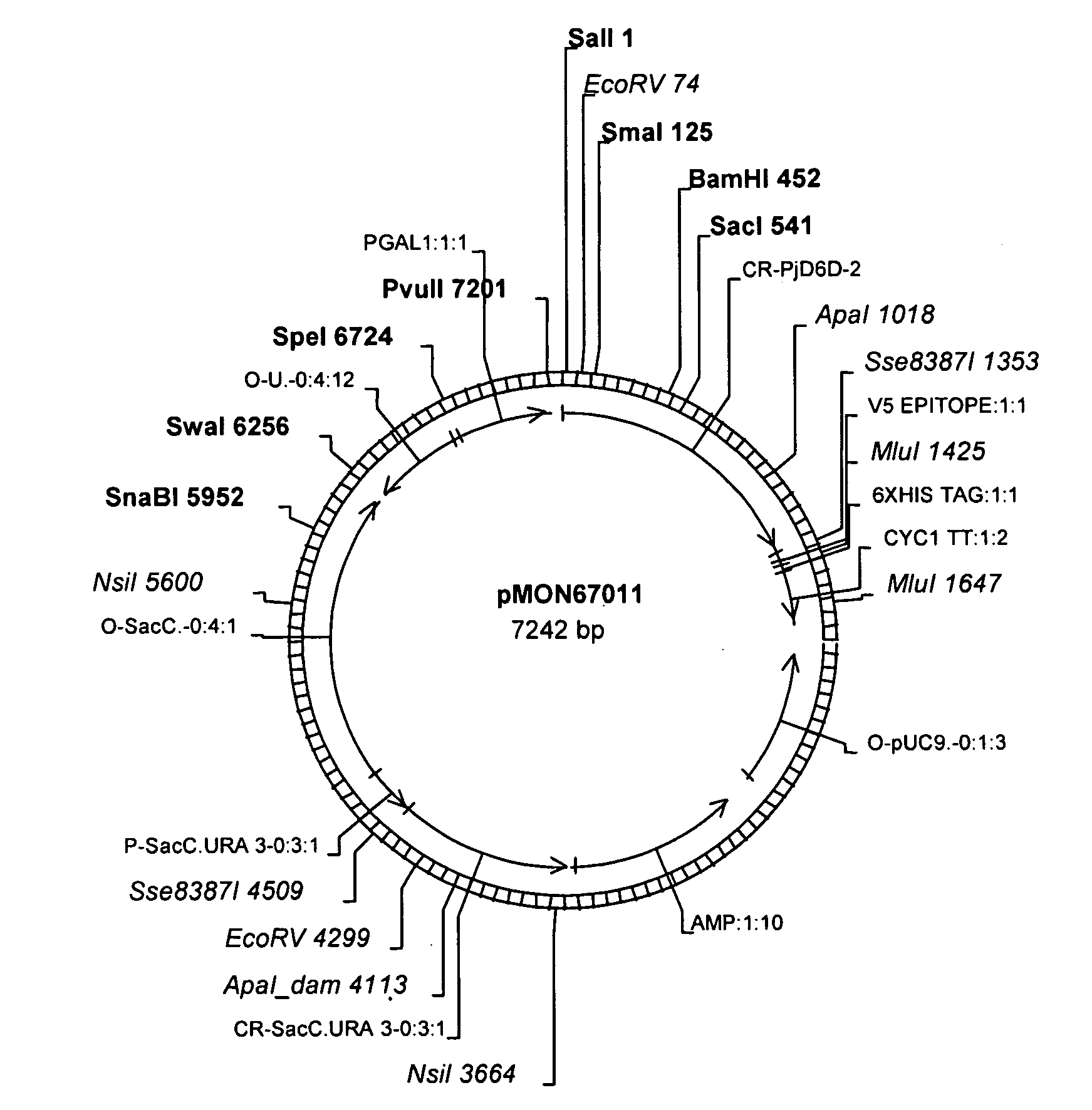 Fatty acid desaturases from primula