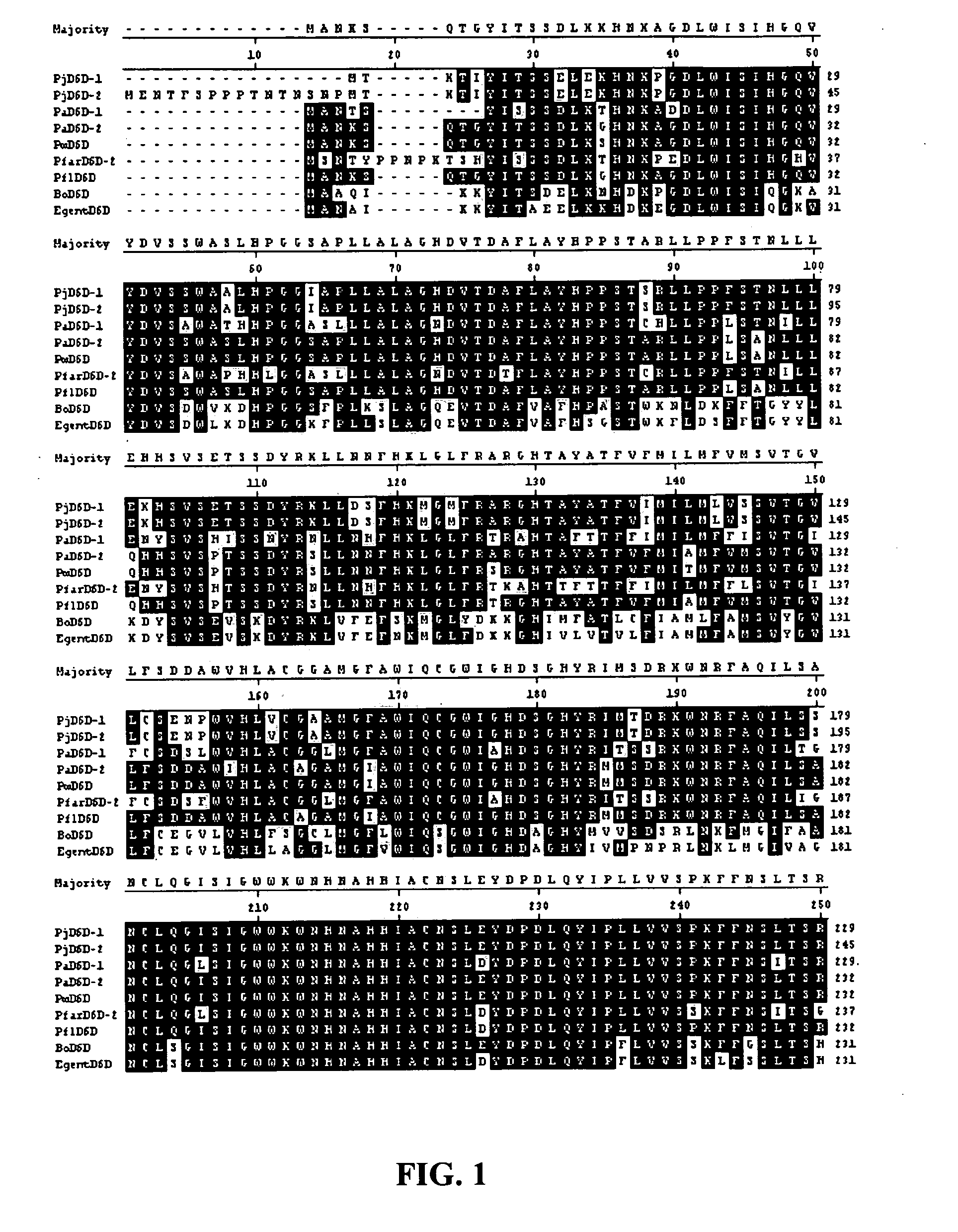 Fatty acid desaturases from primula