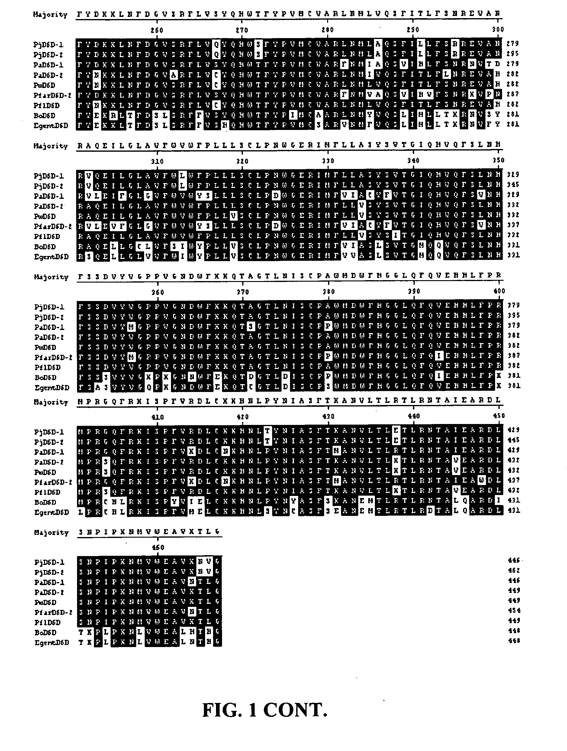 Fatty acid desaturases from primula