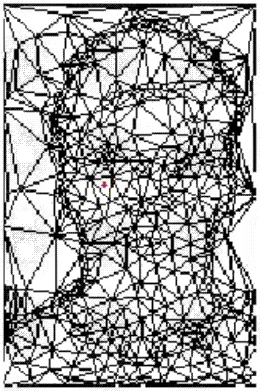 Face image processing method and device