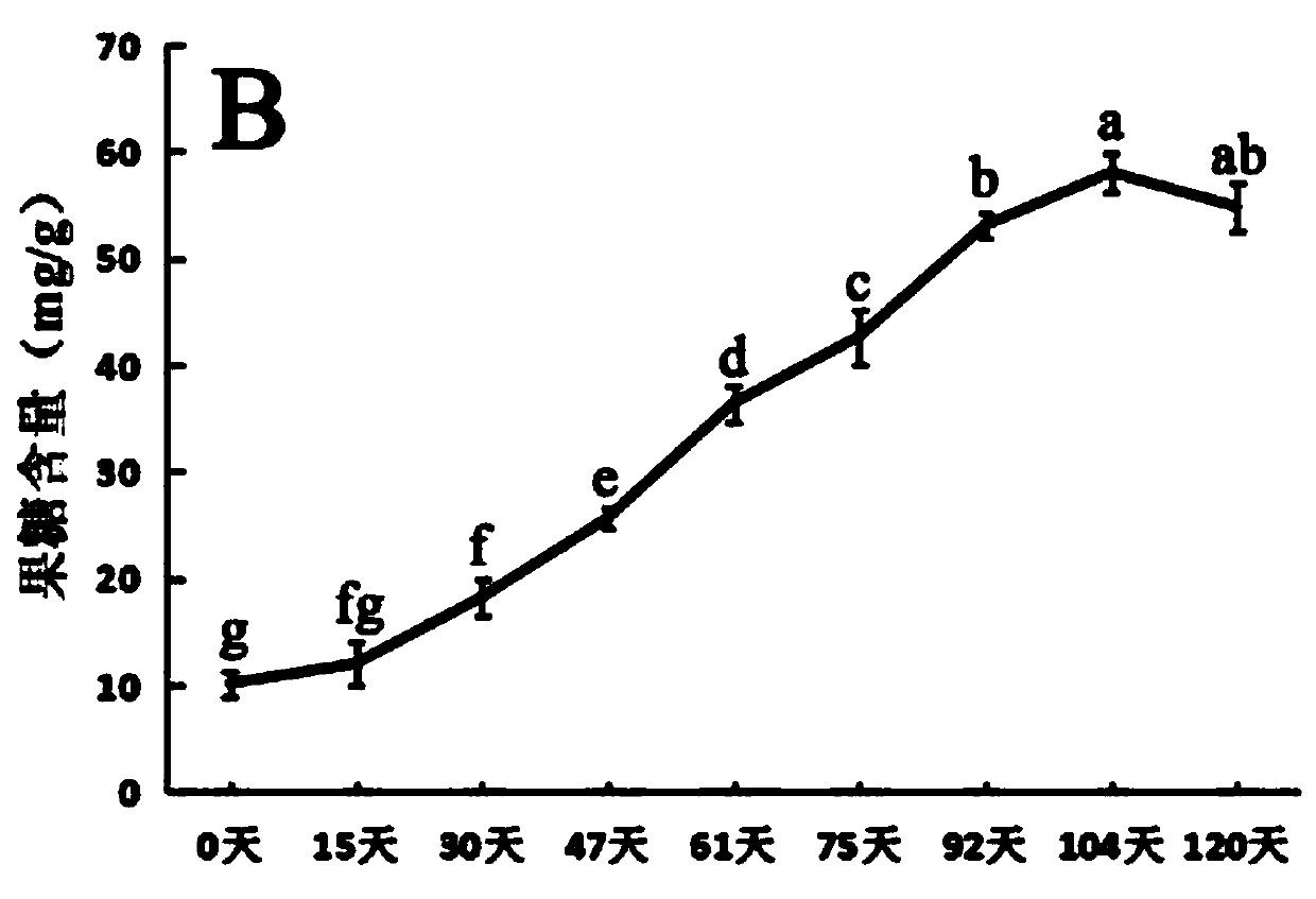 Apple fruit hexose transporter gene MdHT2.2 and application thereof