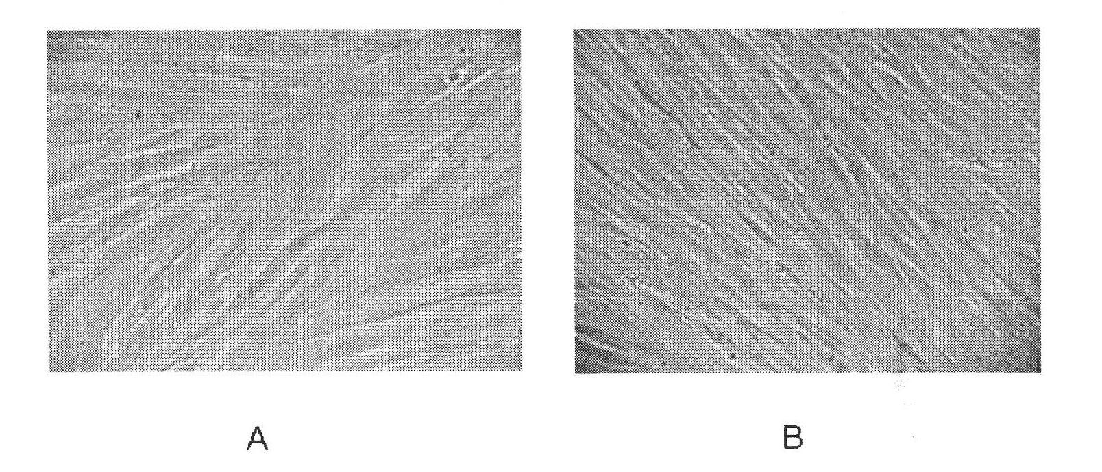 Method for extracting original mesenchymal stem cells from placenta and serum-free amplification