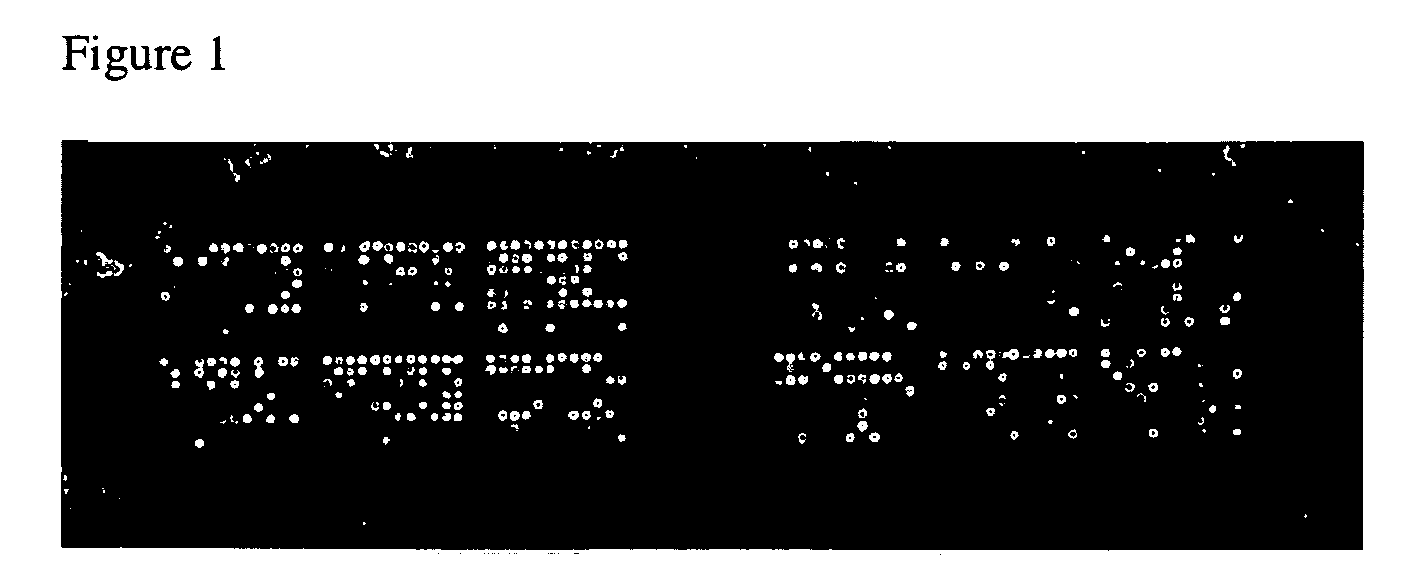 Method for sequencing polynucleotides