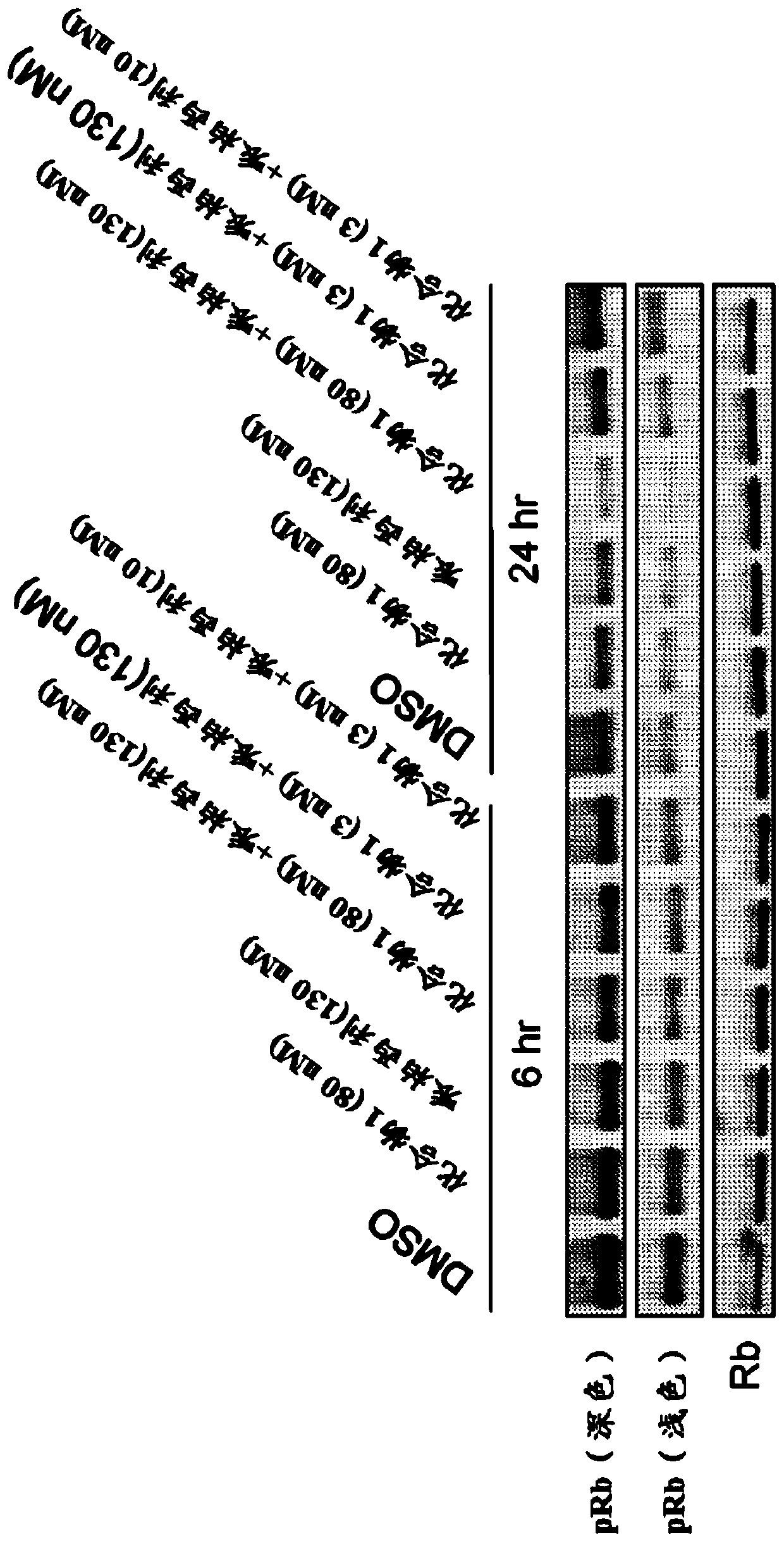 Inhibitors of the fibroblast growth factor receptor in combination with cyclin-dependent kinase inhibitors