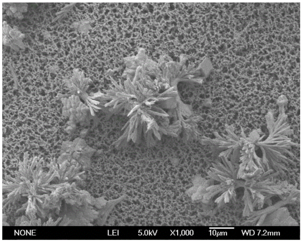 Preparation method of morphology controllable calcium carbonate based on temperature control