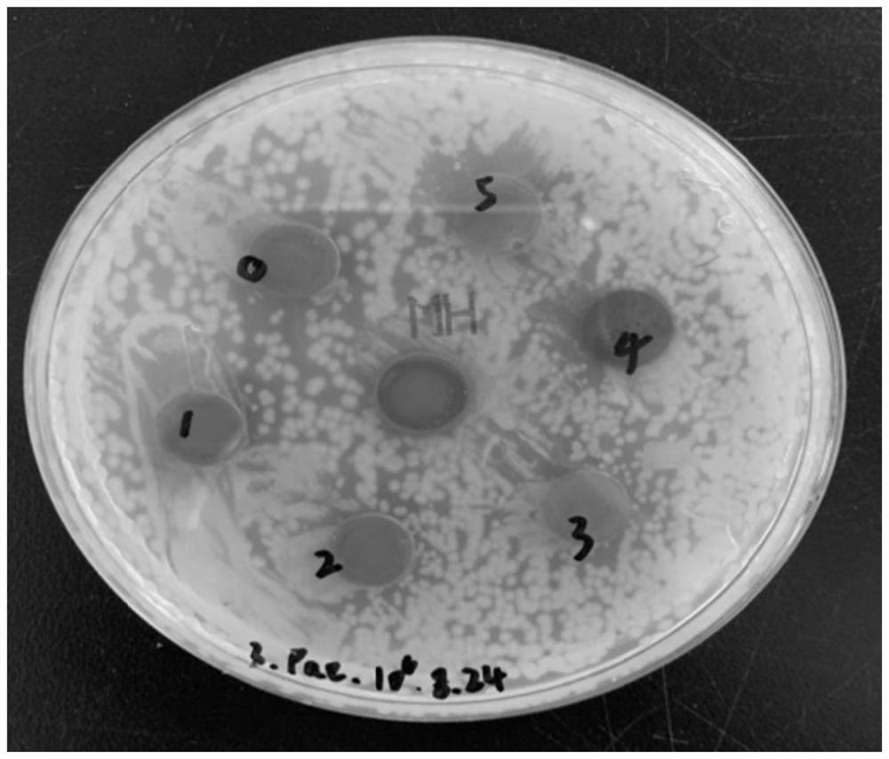 A kind of cu-fe-x alloy and its preparation method and application