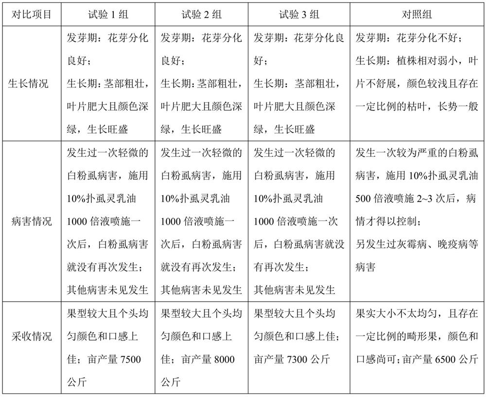 Traditional Chinese medicine bacterial fertilizer produced by utilizing traditional Chinese medicine waste residues and preparation method thereof