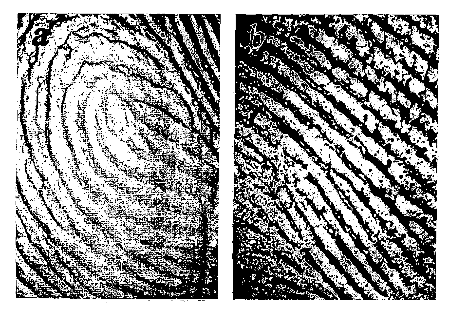 Simulated vernix compositions for skin cleansing and other applications