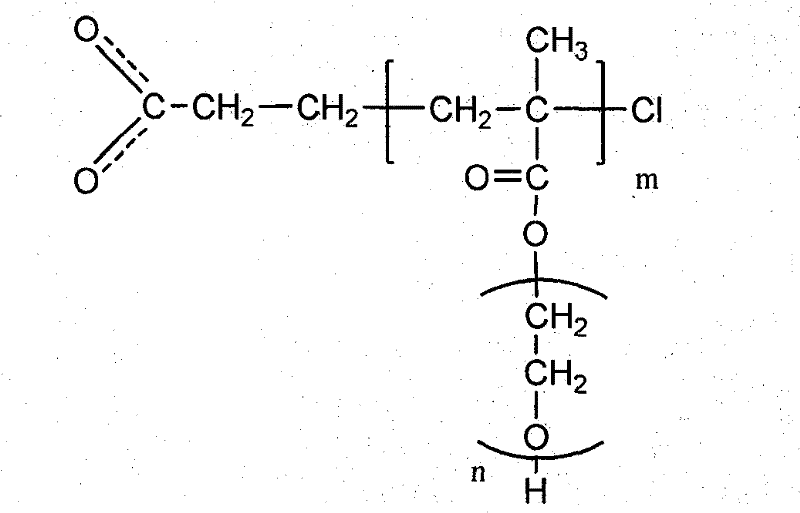 Functional superparamagnetic nano particle with uniform particle size and preparation method thereof