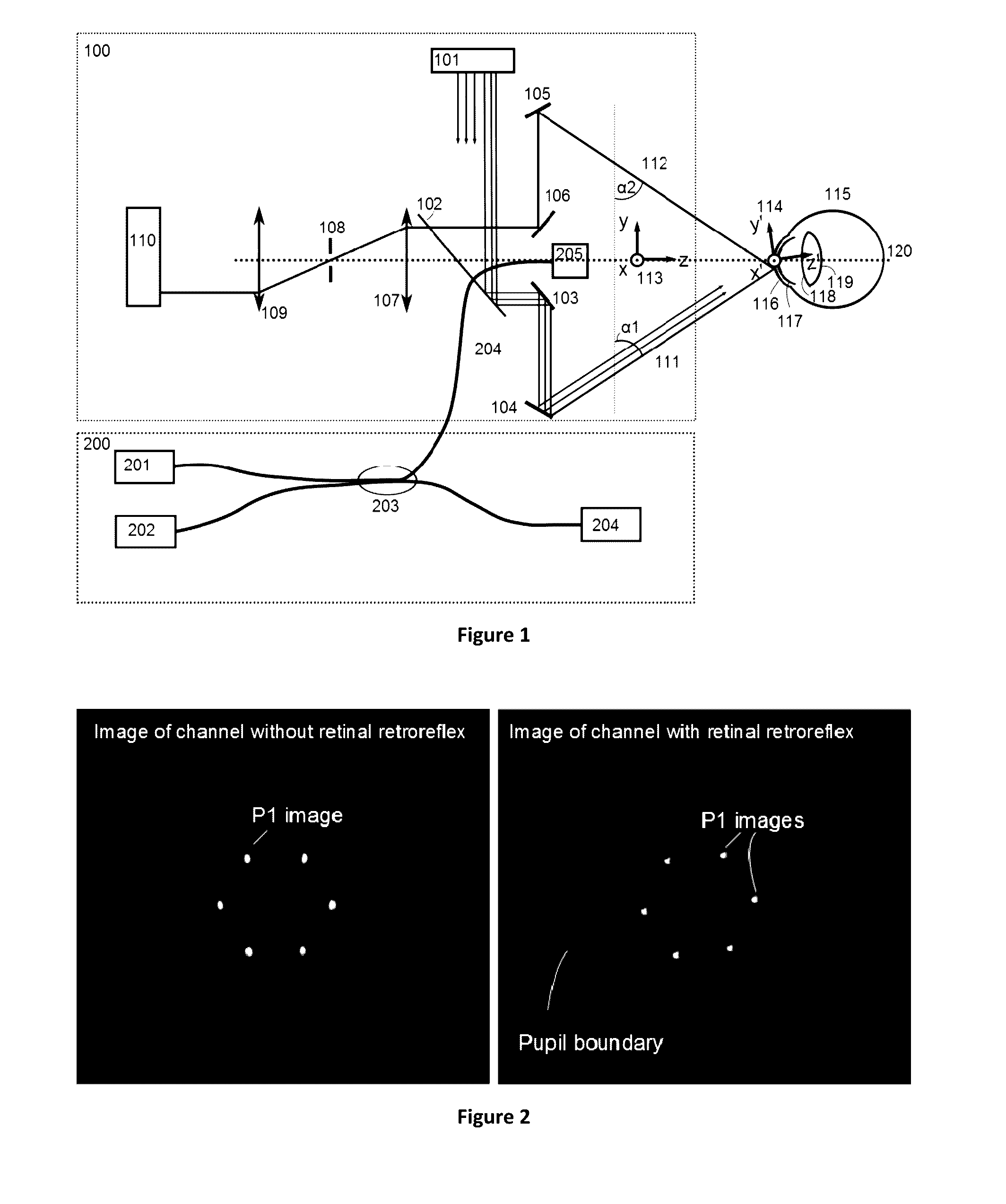 Apparatus for modelling ocular structures