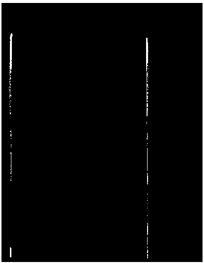 Anti-aflatoxin general type monoclonal antibody hybridoma cell line and application thereof