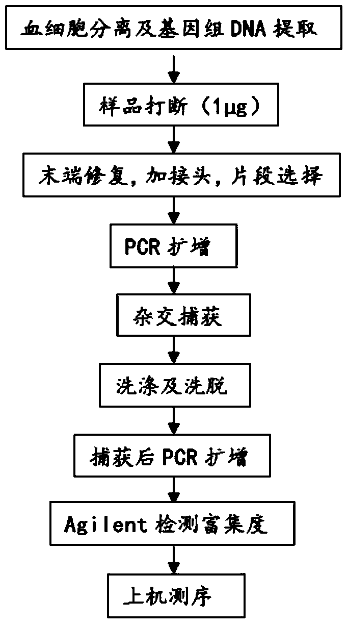 Method and application for determining donor and acceptor differential SNPs