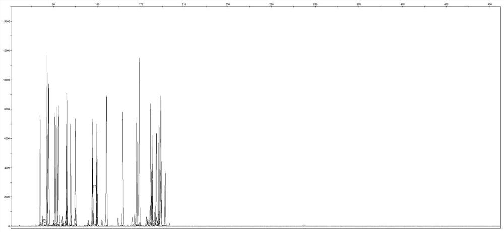 Eight-color fluorescent multiplex amplification kit for trace degradation DNA (deoxyribonucleic acid) detection and application of eight-color fluorescent multiplex amplification kit