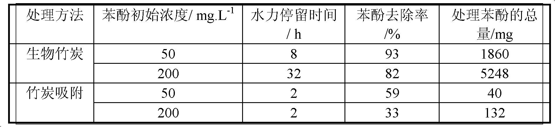 Biological bamboo charcoal as well as preparation process and application thereof