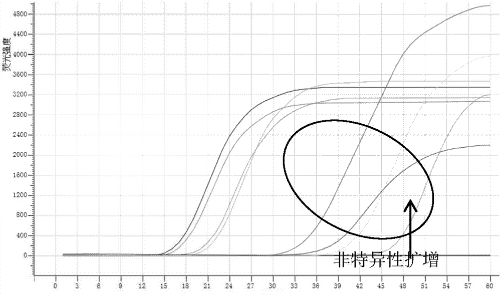 Locked nucleic acid modified LAMP primer composition and application thereof