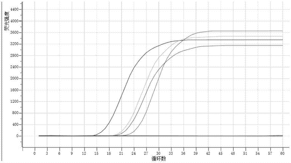 Locked nucleic acid modified LAMP primer composition and application thereof