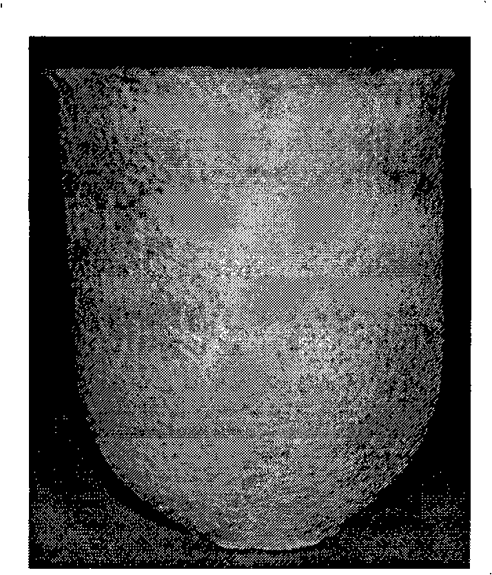 Composite multilevel Y2O3 powder crucible and method for producing the same with isostatic pressing technique