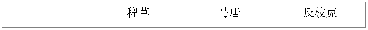 Method for preparing herbicide from starch wastewater