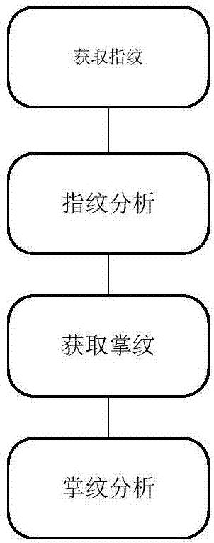 Talent analysis and potential development system and method