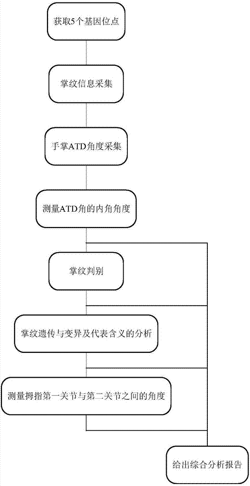 Talent analysis and potential development system and method