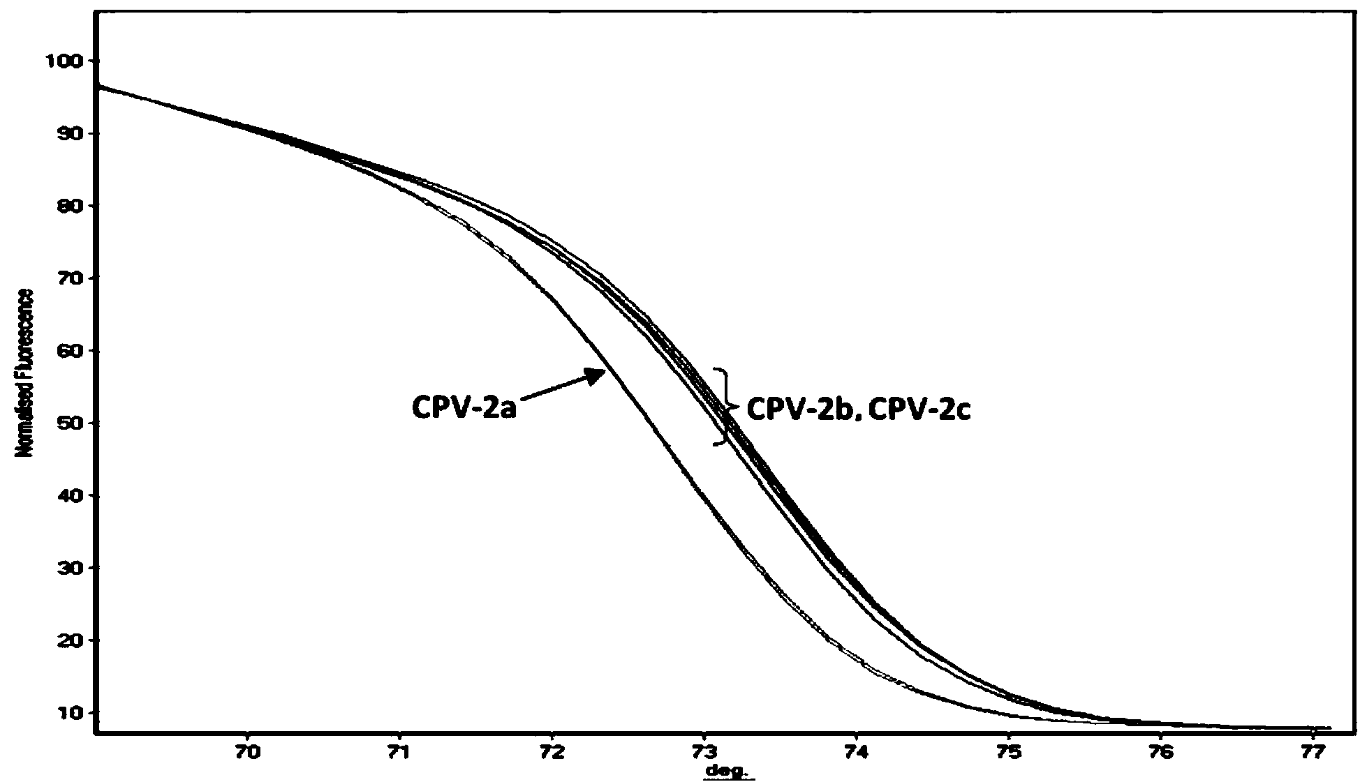 PCR-HRM primer and method for quickly distinguishing canine parvoviruses of different genotypes