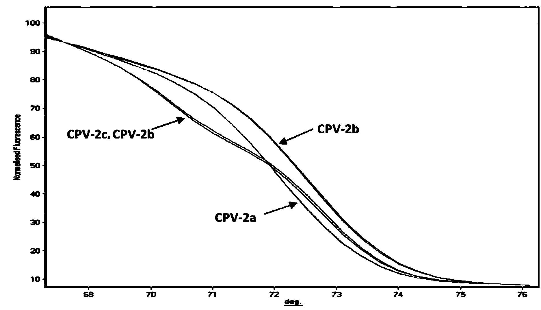 PCR-HRM primer and method for quickly distinguishing canine parvoviruses of different genotypes