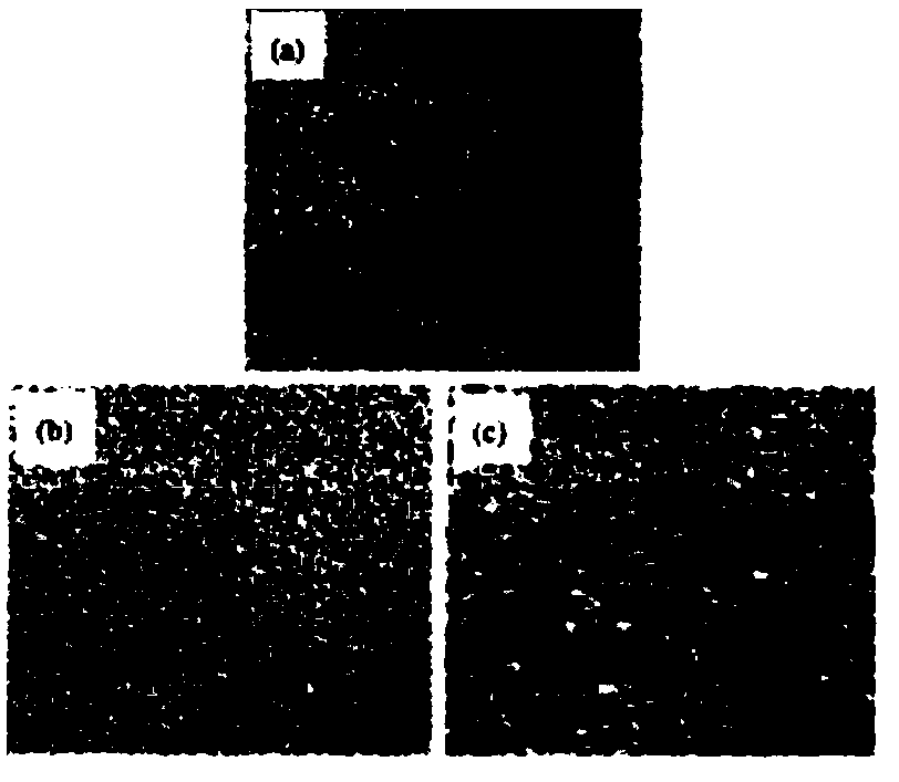 Foamed aluminum material of Kagome honeycomb core structure as well as preparing method and application thereof