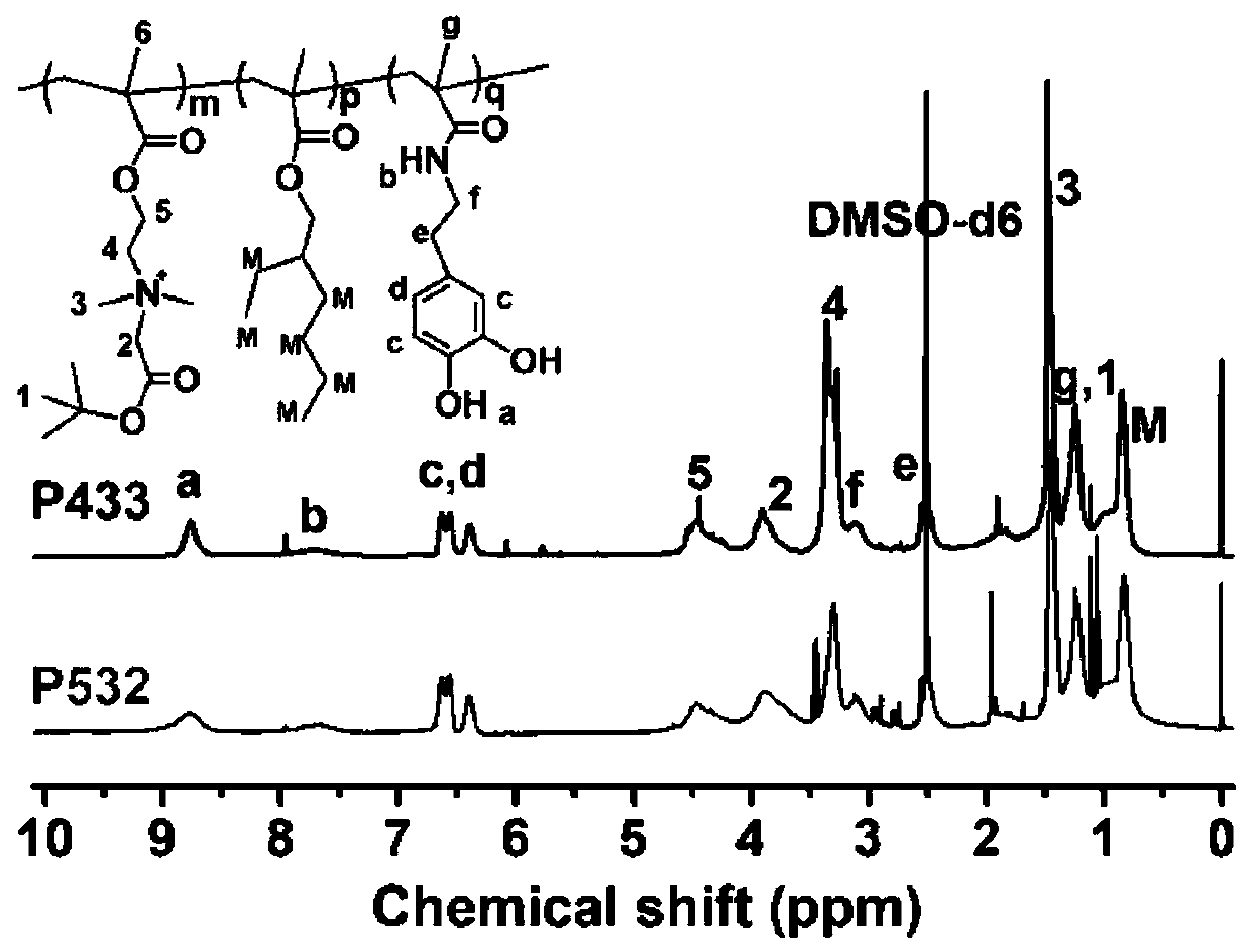 Carboxylic acid betaine zwitterionic composite antibacterial functional coating material and preparation method and application thereof