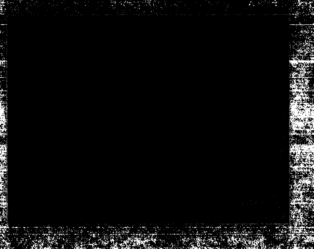 Photosensitive medicament patch and preparation method thereof