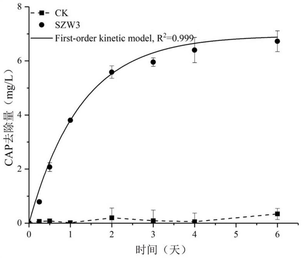 A Strain of Aeromonas intermedia and Its Application in Removing Chloramphenicol and Solubilizing Phosphate and Potassium