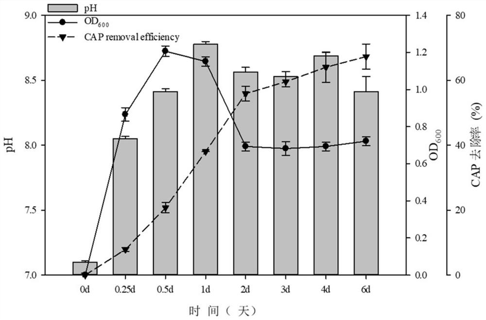 A Strain of Aeromonas intermedia and Its Application in Removing Chloramphenicol and Solubilizing Phosphate and Potassium