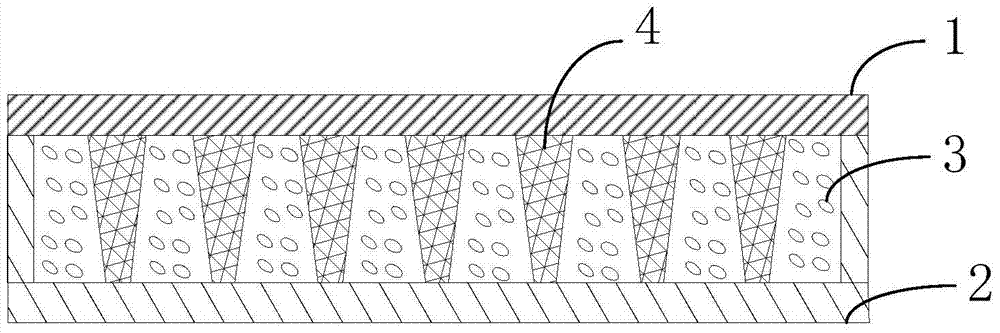 Curved liquid crystal panel and display device