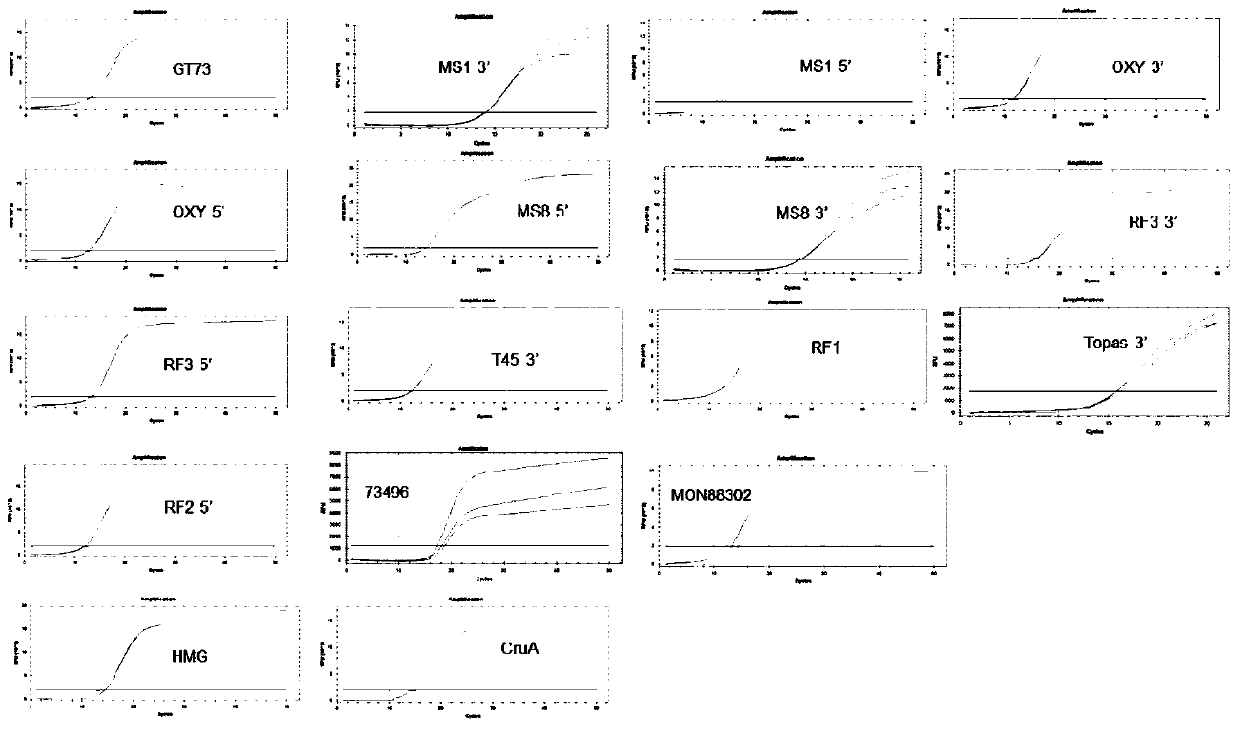 Positive plasmid molecule pYCID-1905 for identifying transgenic rape and product transformants thereof, and application